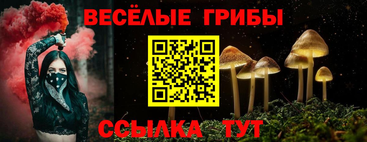 Псилоцибиновые грибы Psilocybine cubensis  Вход с VPN  Буйнакск 