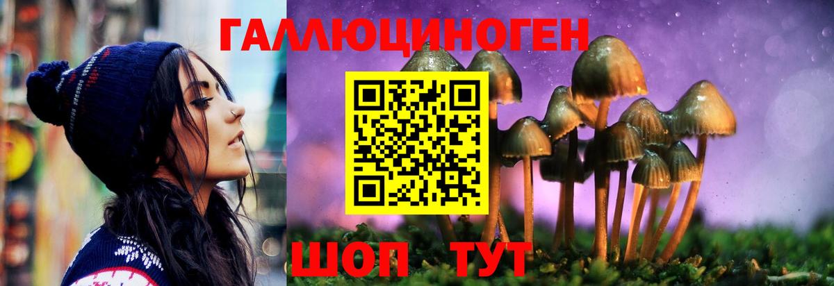 Галлюциногенные грибы GOLDEN TEACHER Буйнакск